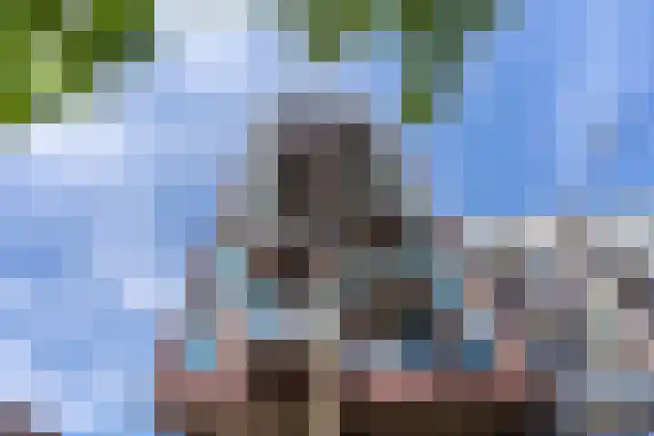 Hofplein 94 's-Hertogenbosch thumbnail 68