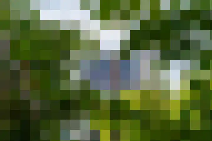 Hofplein 94 's-Hertogenbosch thumbnail 73