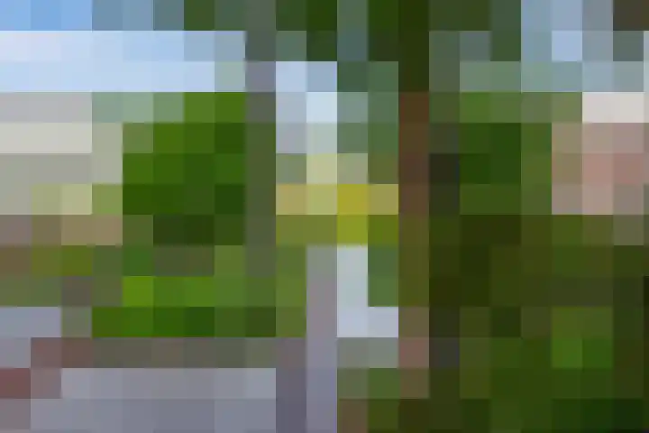 Hofplein 94 's-Hertogenbosch thumbnail 74