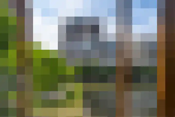 Hofplein 94 's-Hertogenbosch thumbnail 79