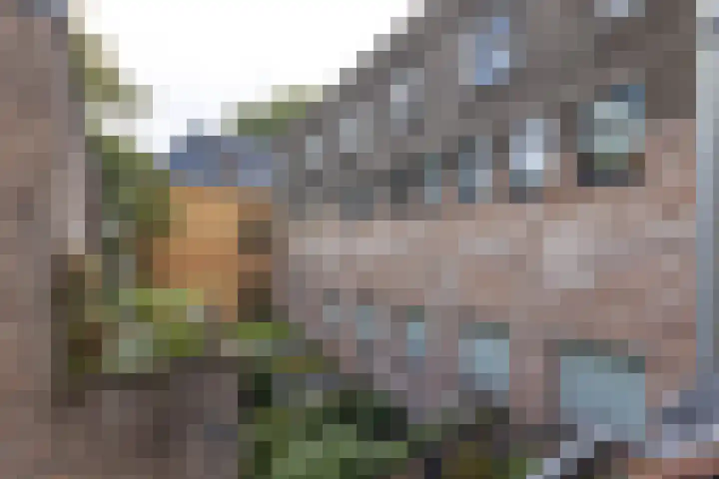 Hofpoort 2 A Utrecht thumbnail 12