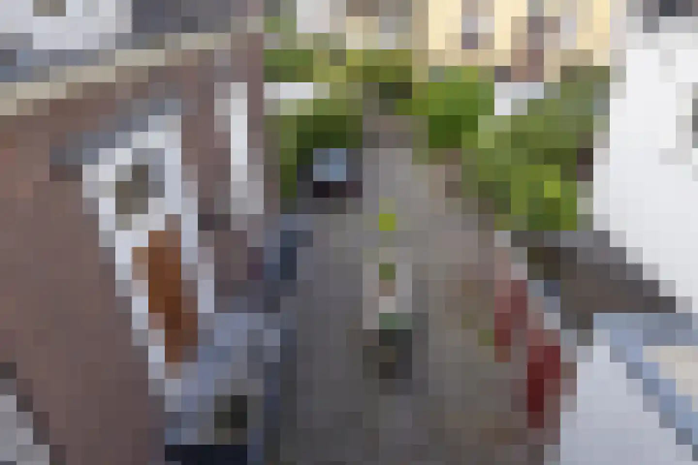 Hofpoort 2 A Utrecht thumbnail 19