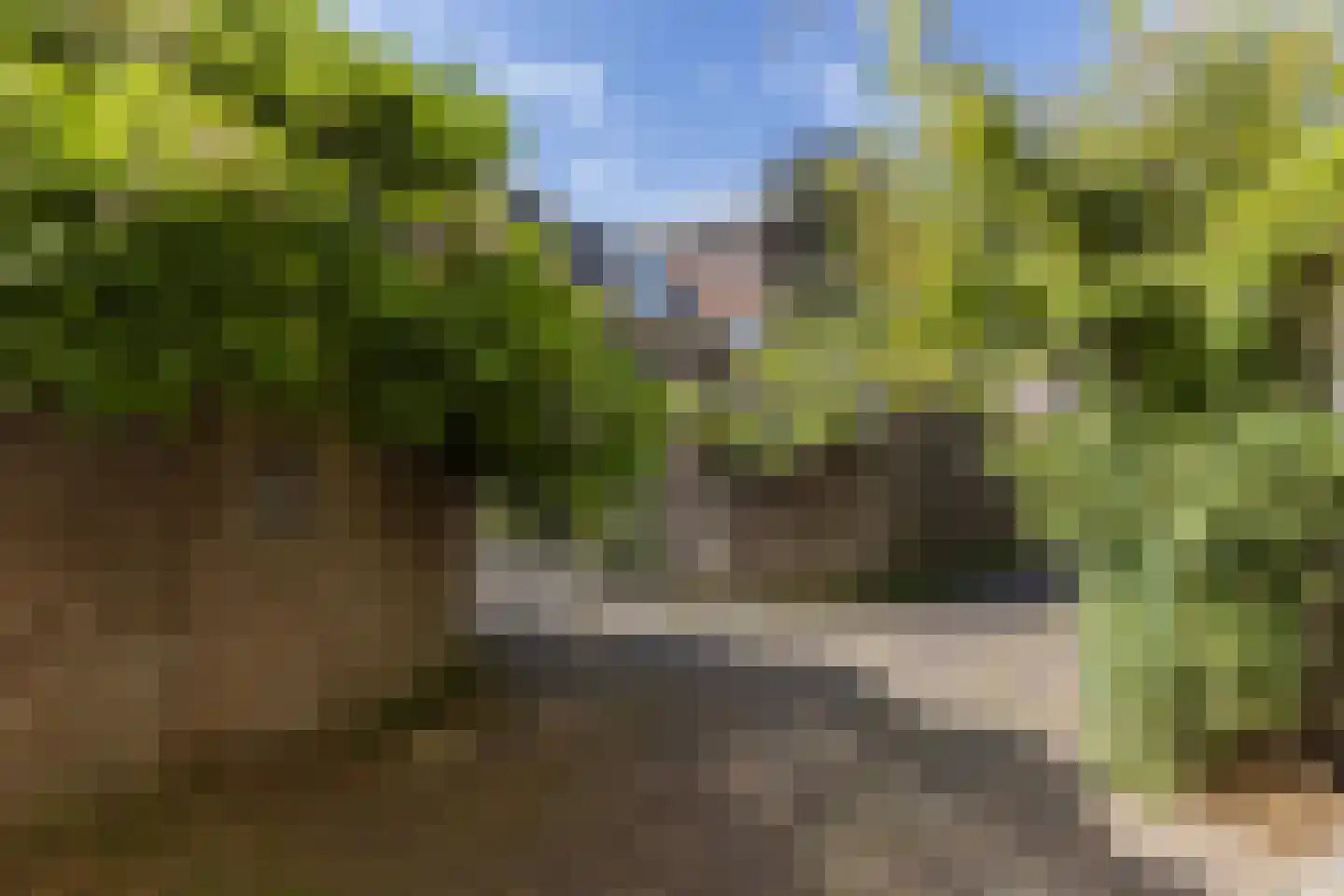 Hofpoort 2 A Utrecht thumbnail 31