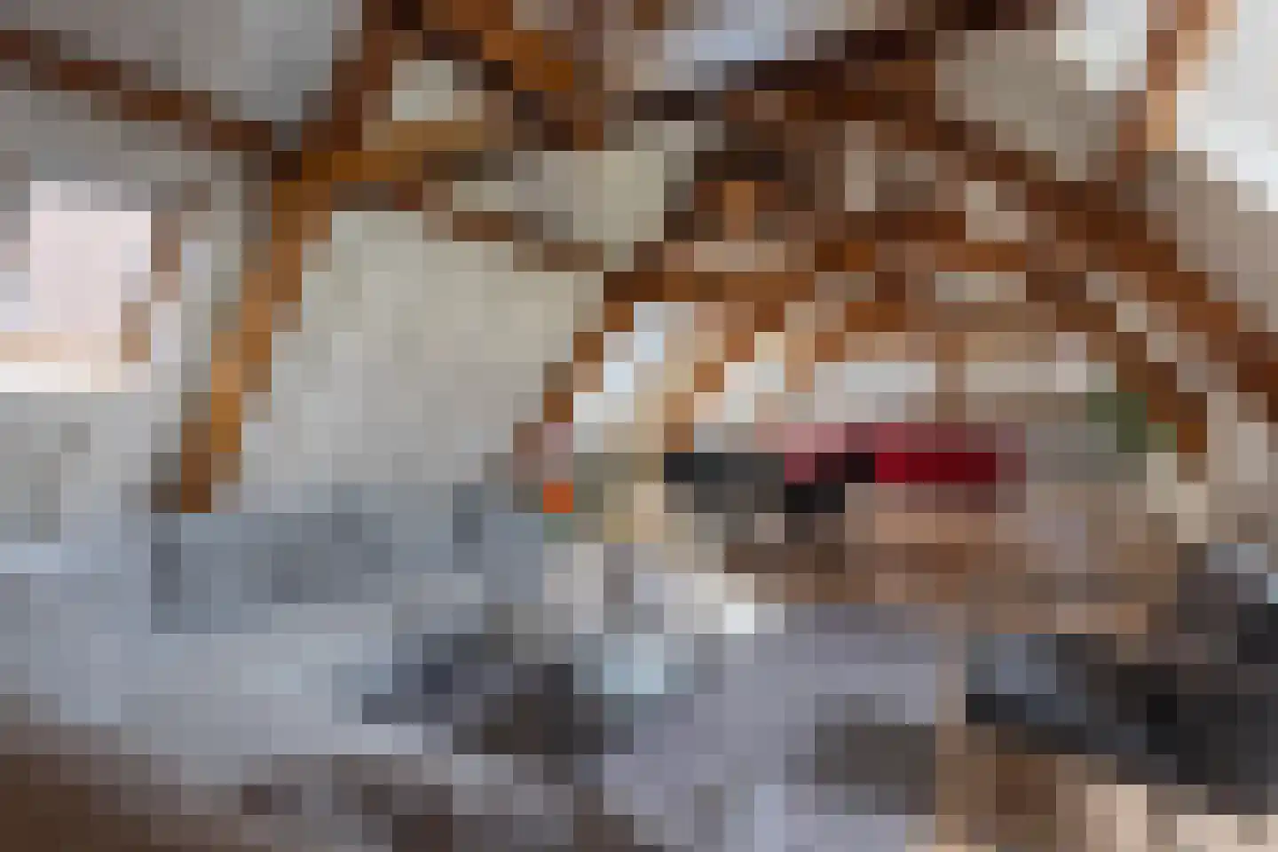 Hofpoort 2 A Utrecht thumbnail 7