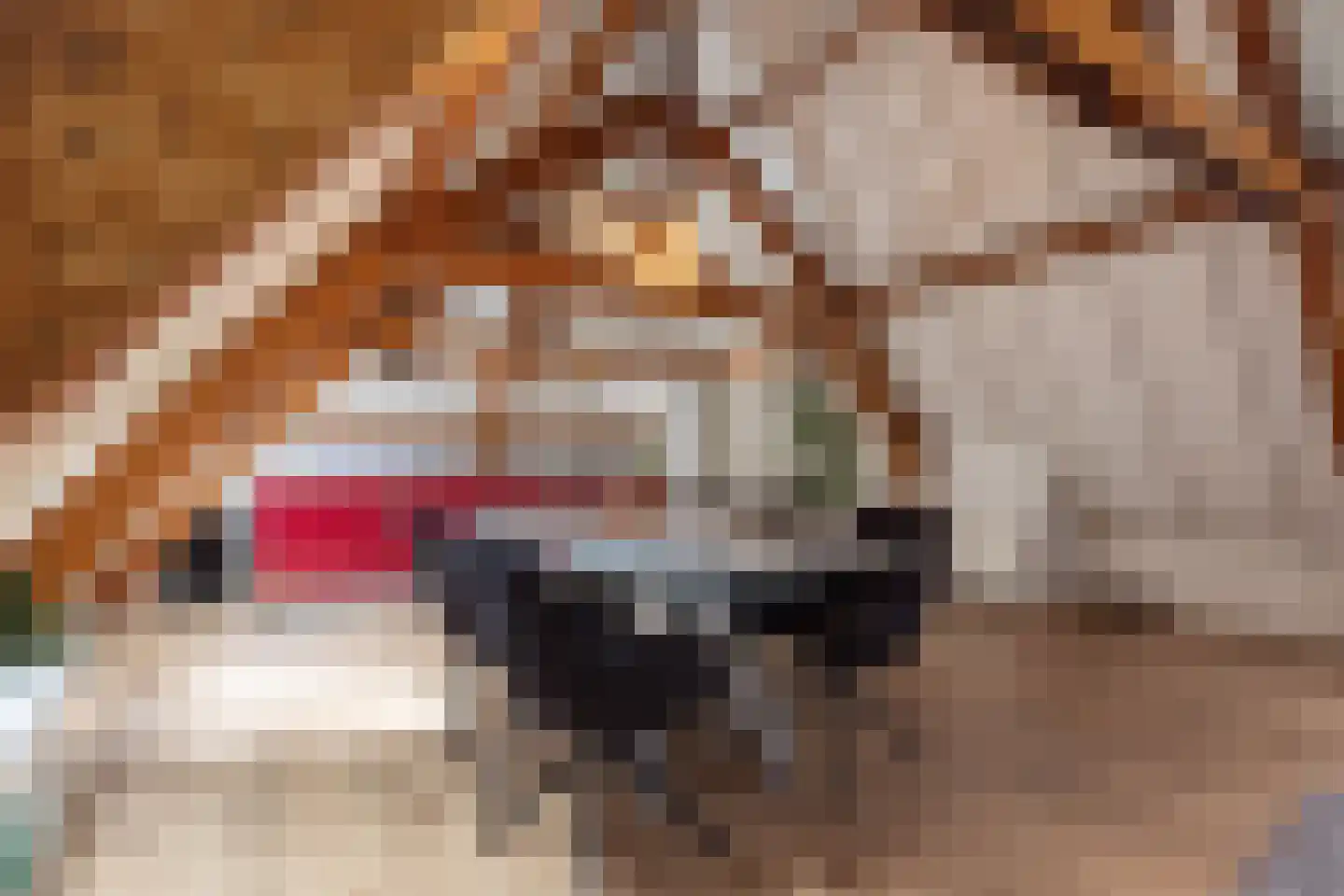 Hofpoort 2 A Utrecht thumbnail 9