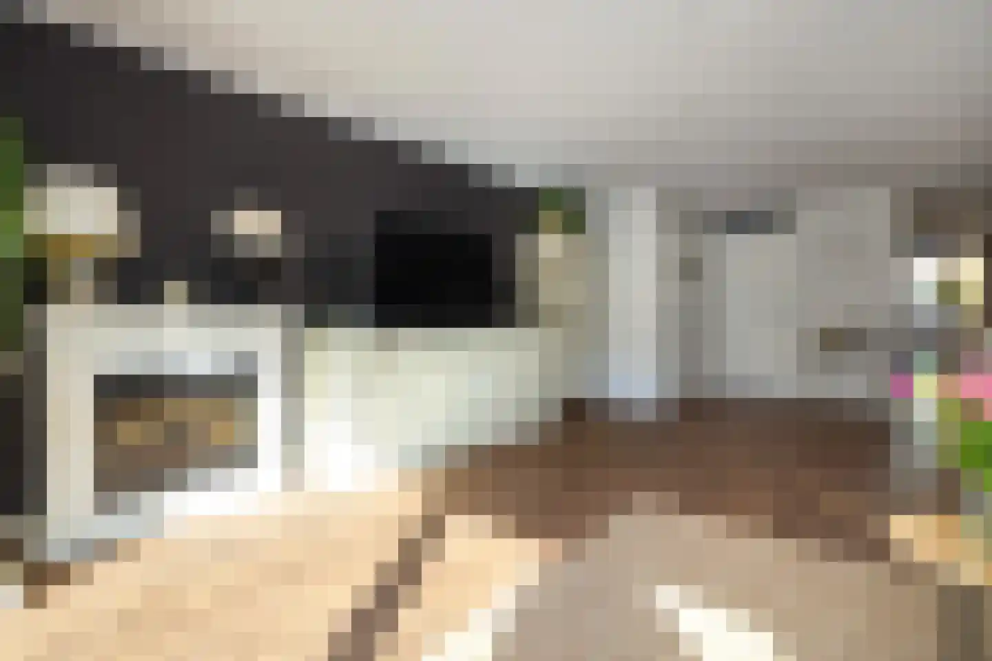 Hofpoort 37 Nieuw-Vennep thumbnail 20