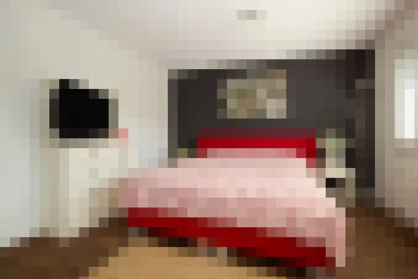 Hofpoort 37 Nieuw-Vennep thumbnail 6