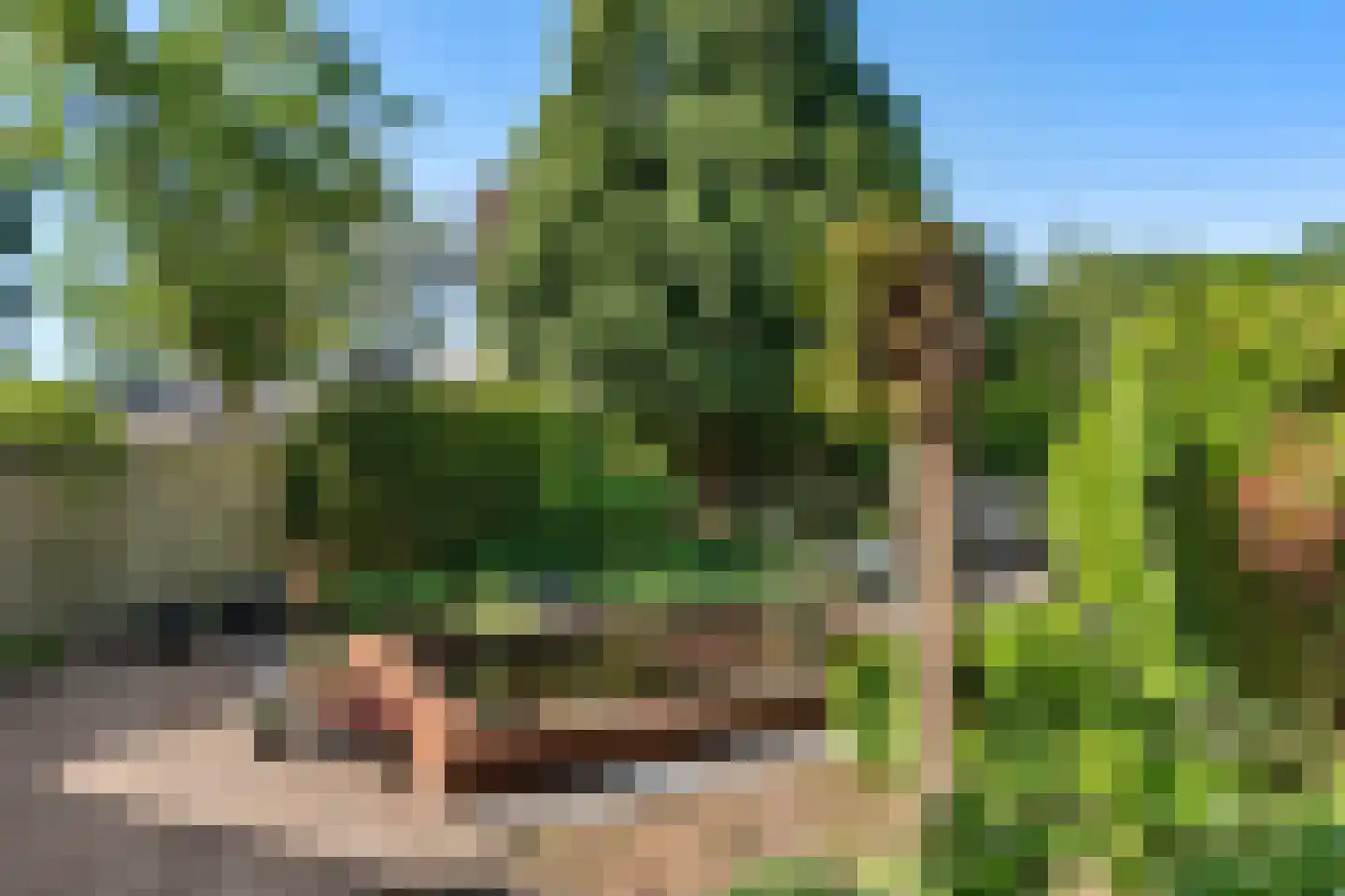 Hofrustlaan 49 Bennekom thumbnail 14
