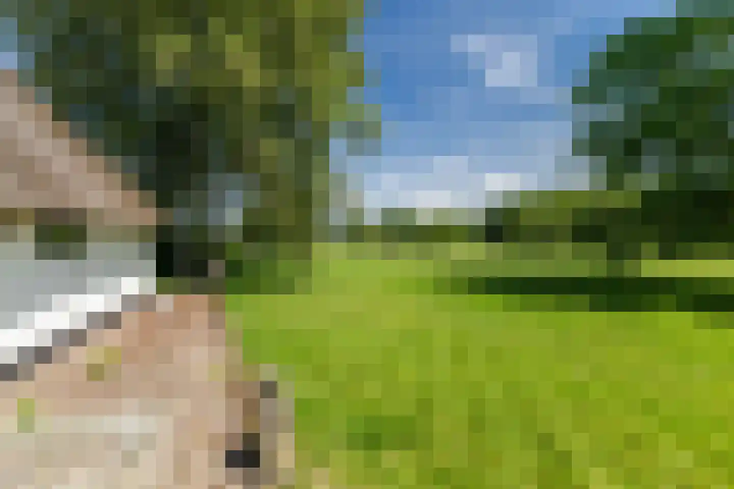 Hofsemolenweg 12 Vaassen thumbnail 35
