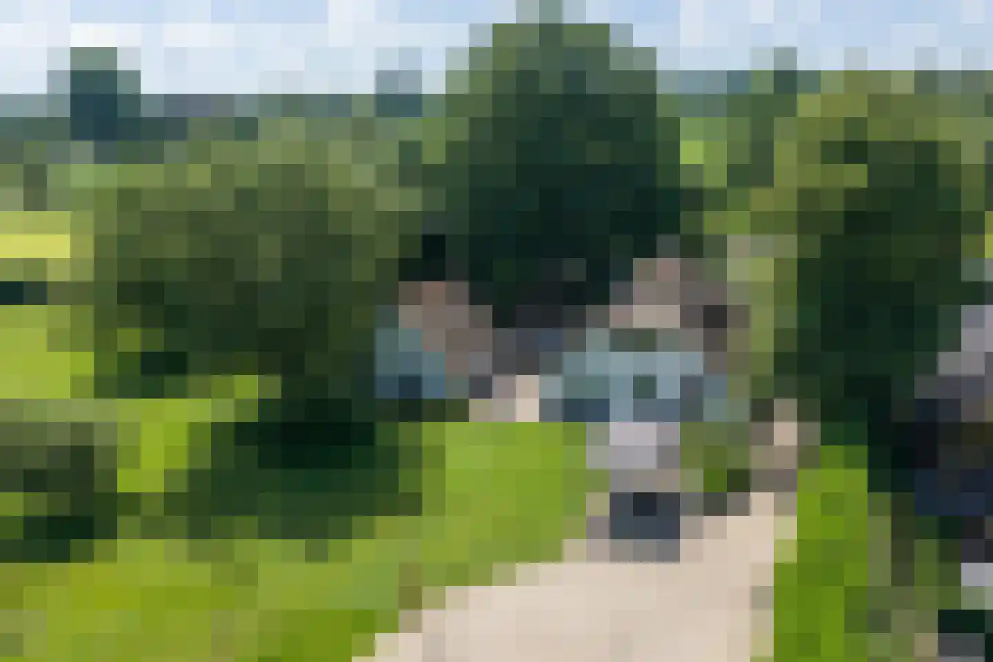 Hofsemolenweg 12 Vaassen thumbnail 38