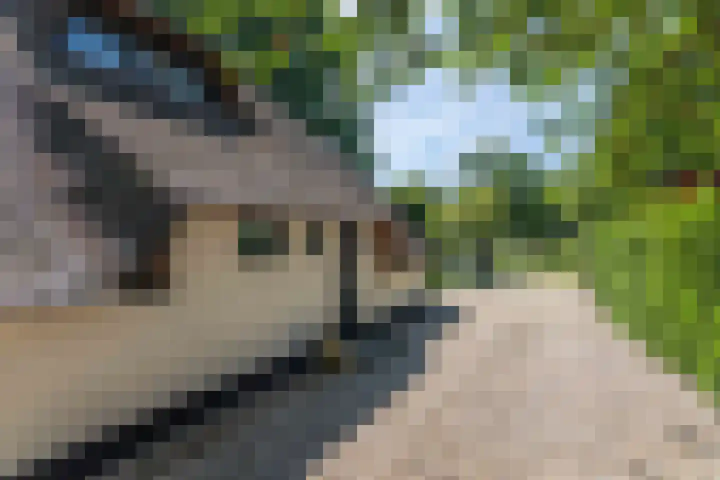 Hofsemolenweg 12 Vaassen thumbnail 4