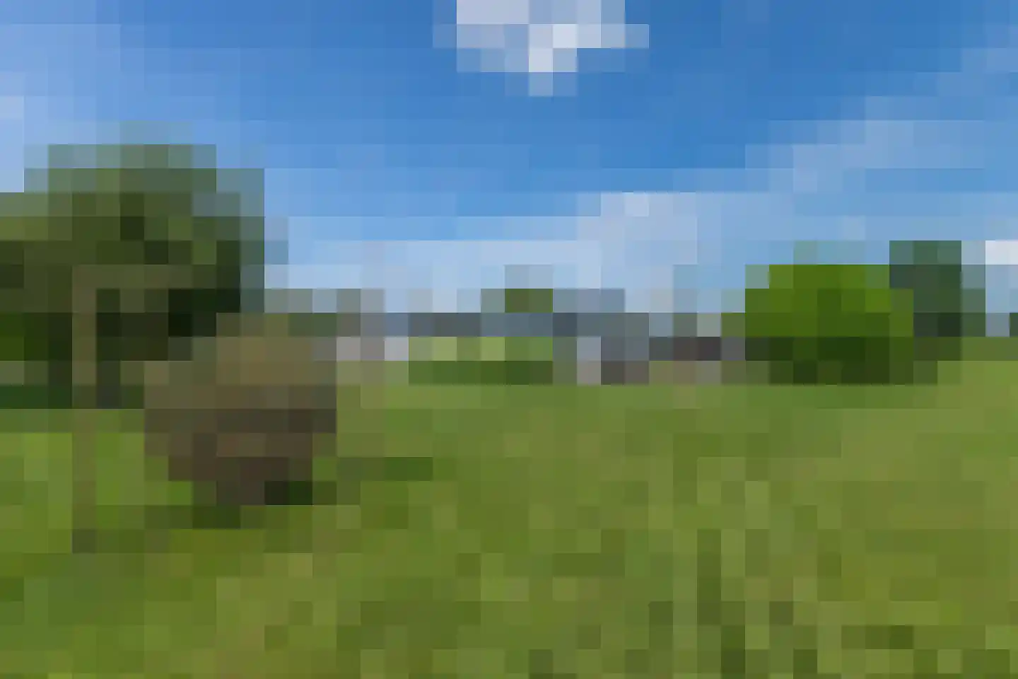 Hofsemolenweg 12 Vaassen thumbnail 46
