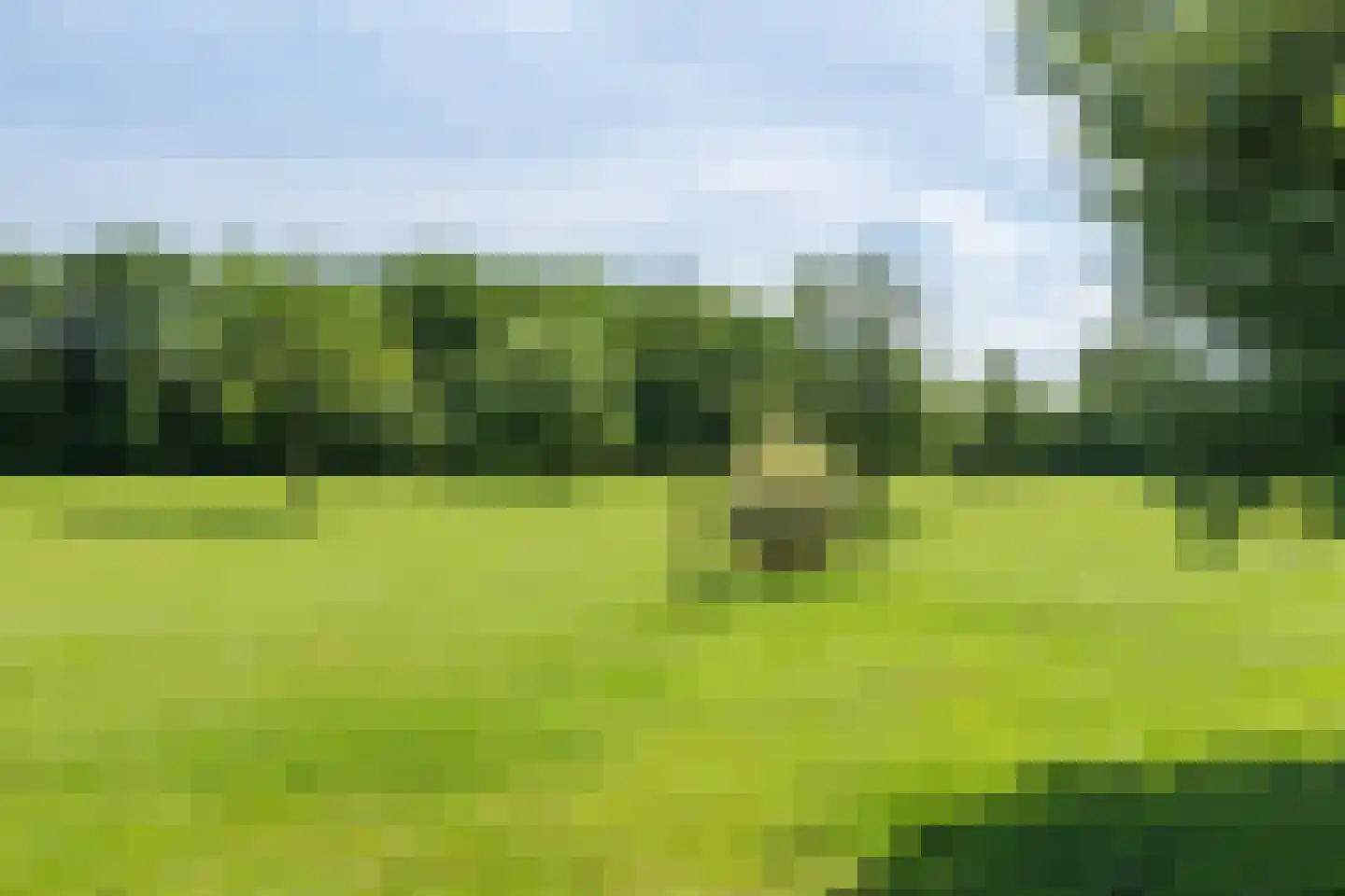 Hofsemolenweg 12 Vaassen thumbnail 47