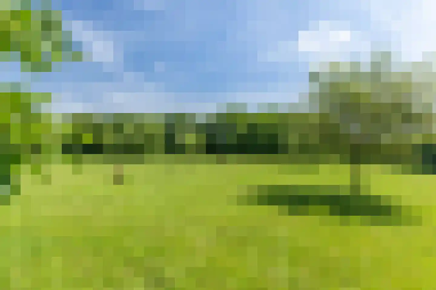Hofsemolenweg 12 Vaassen thumbnail 48