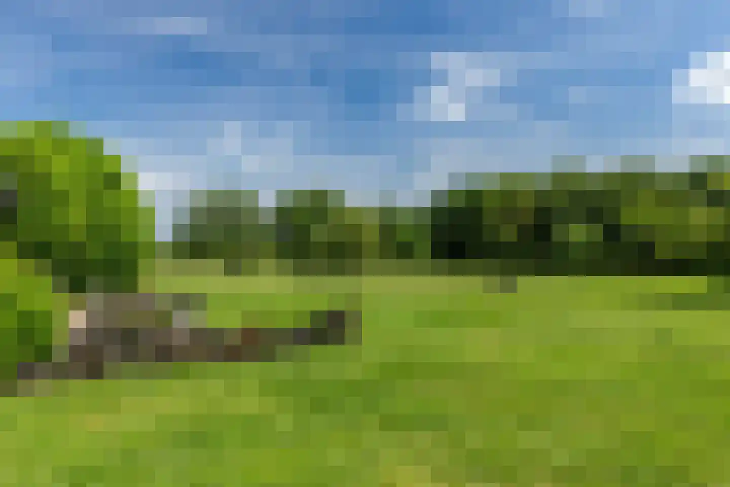 Hofsemolenweg 12 Vaassen thumbnail 49