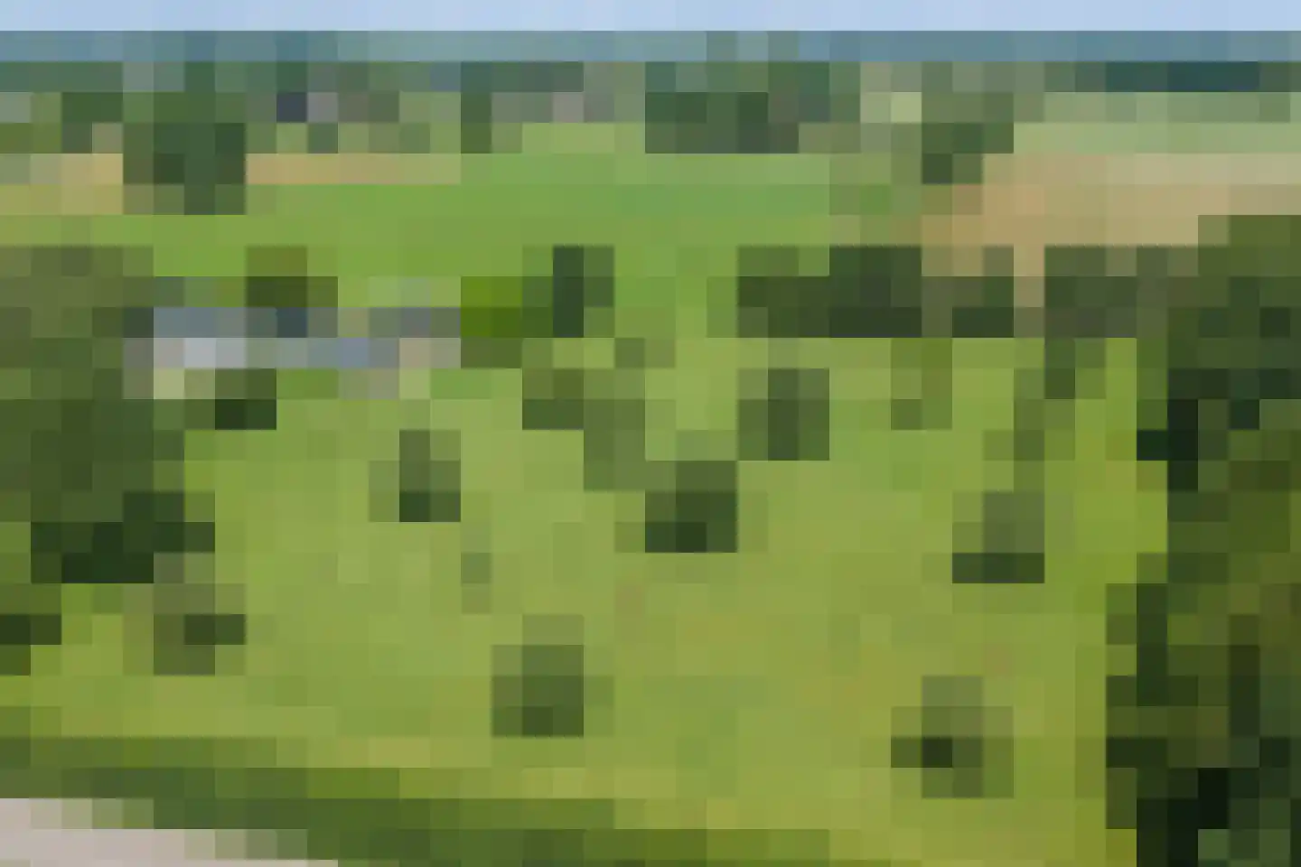 Hofsemolenweg 12 Vaassen thumbnail 5