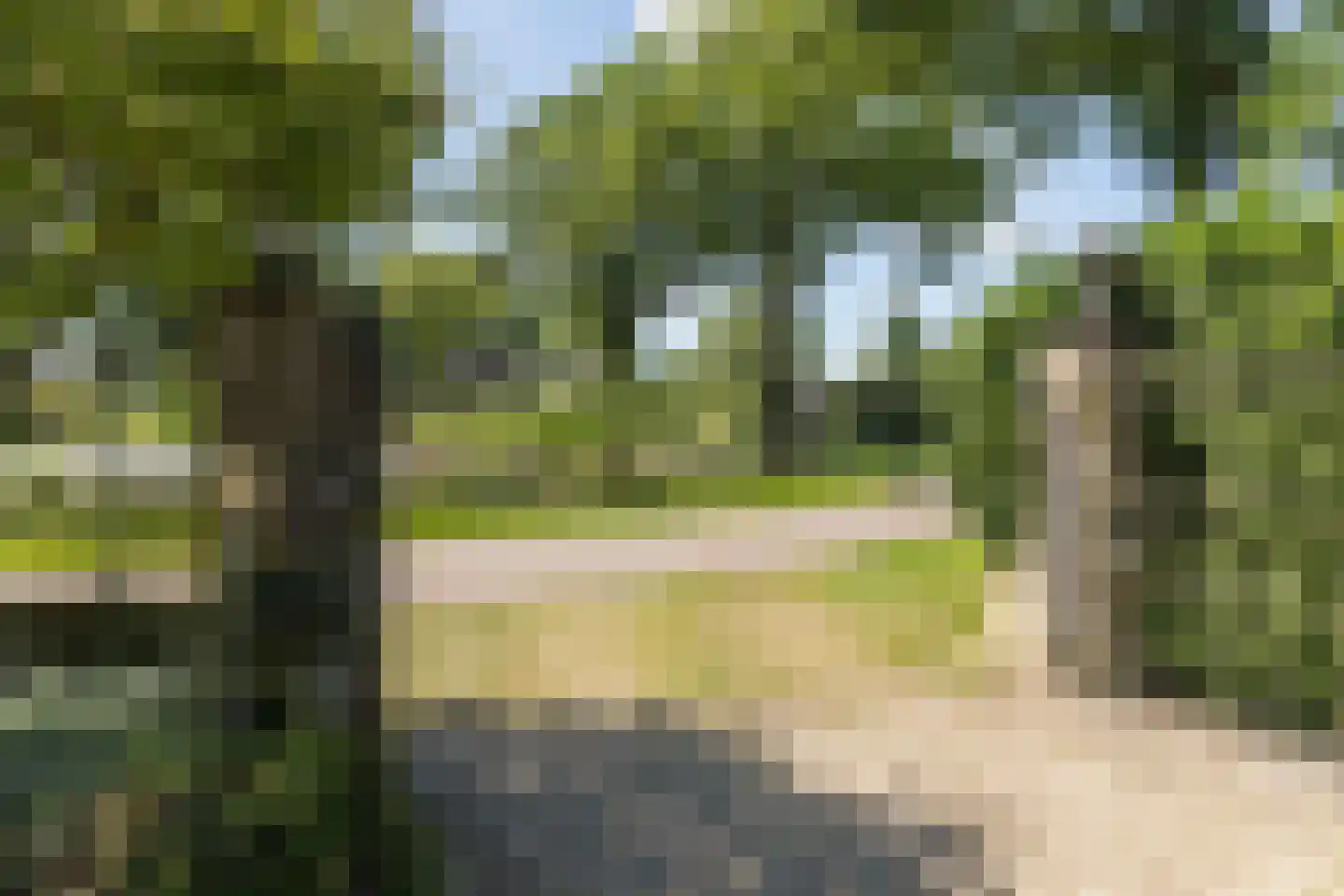 Hofsemolenweg 12 Vaassen thumbnail 55