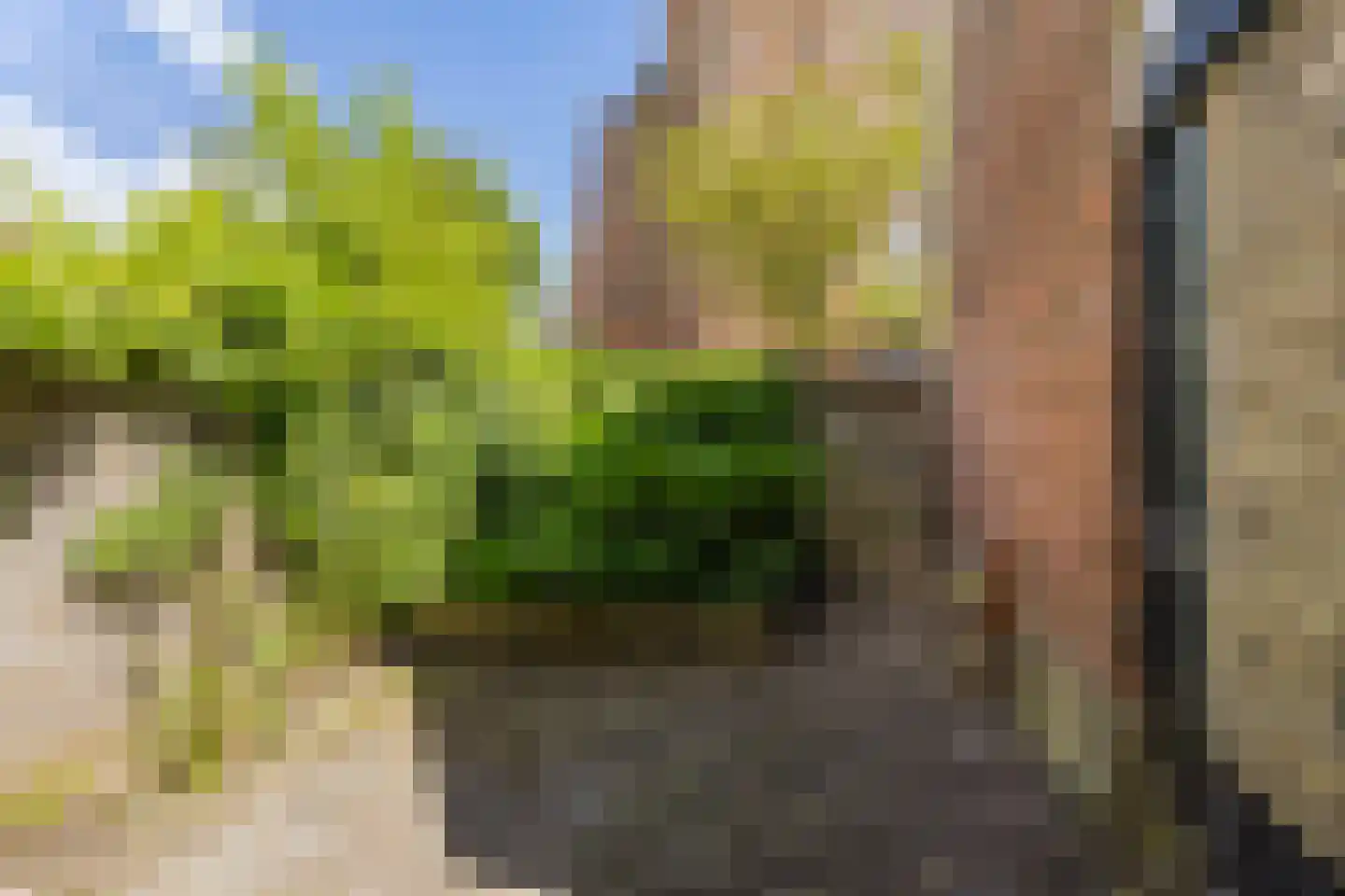 Hôfsgrêft 2 Grou thumbnail 16