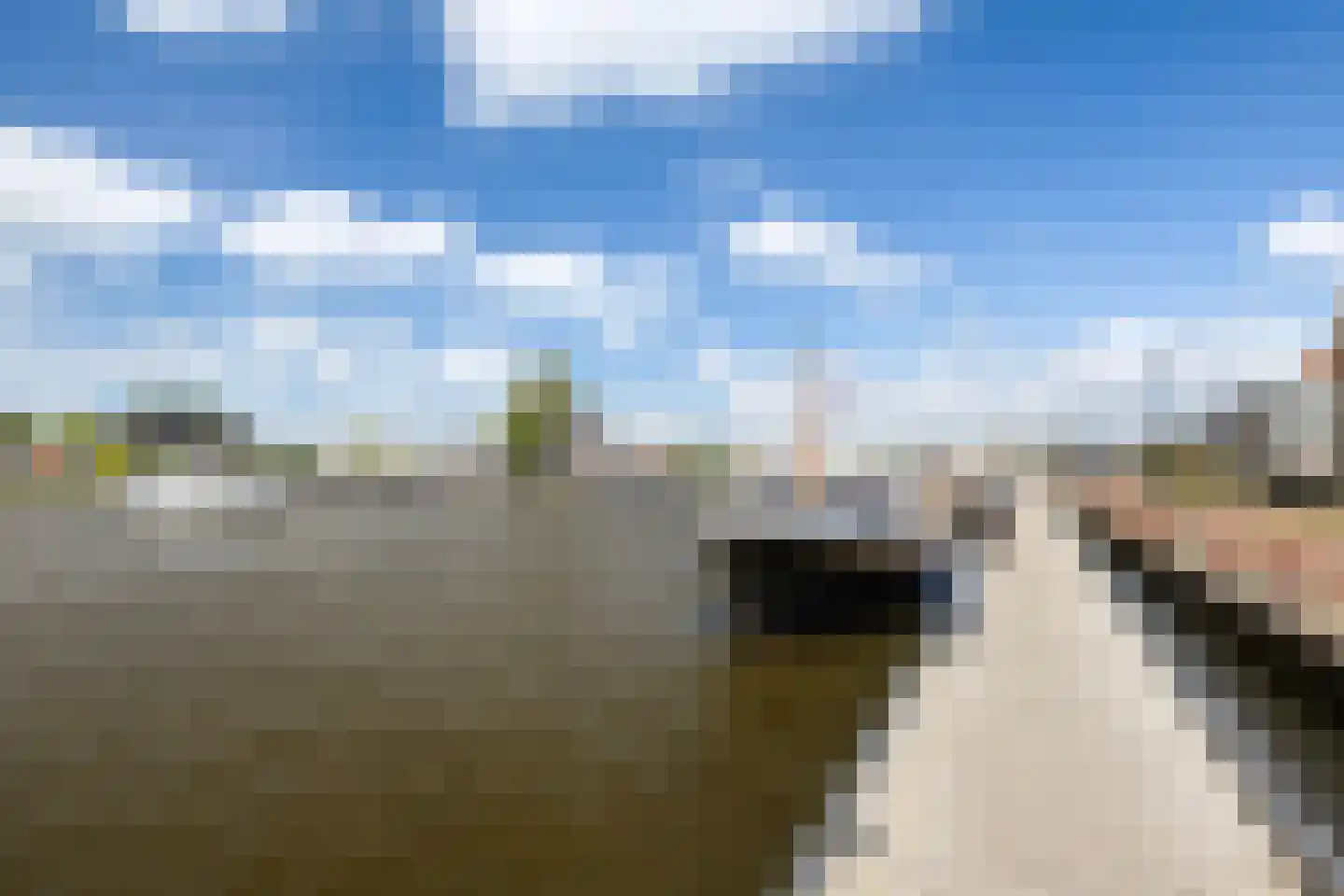 Hôfsgrêft 2 Grou thumbnail 31