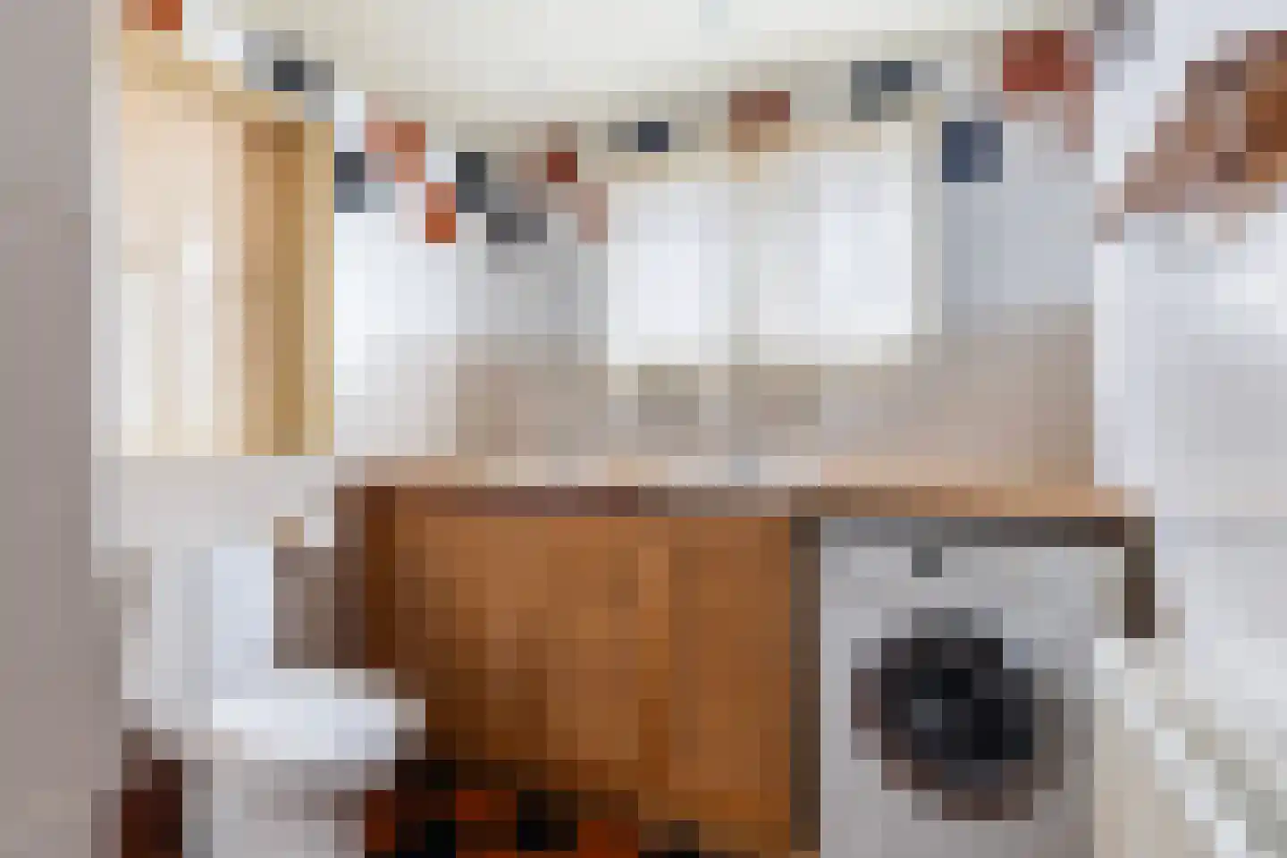 Hôfsgrêft 2 Grou thumbnail 6