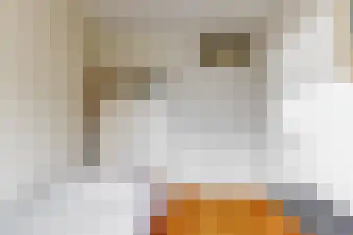 Hofsingel 109 Maasland thumbnail 32