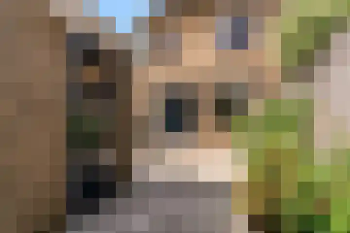 Hofsingel 109 Maasland thumbnail 44