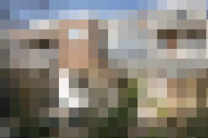 Hofsingel 14 Vlaardingen thumbnail 22