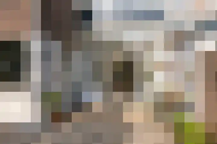 Hofsingel 14 Vlaardingen thumbnail 23