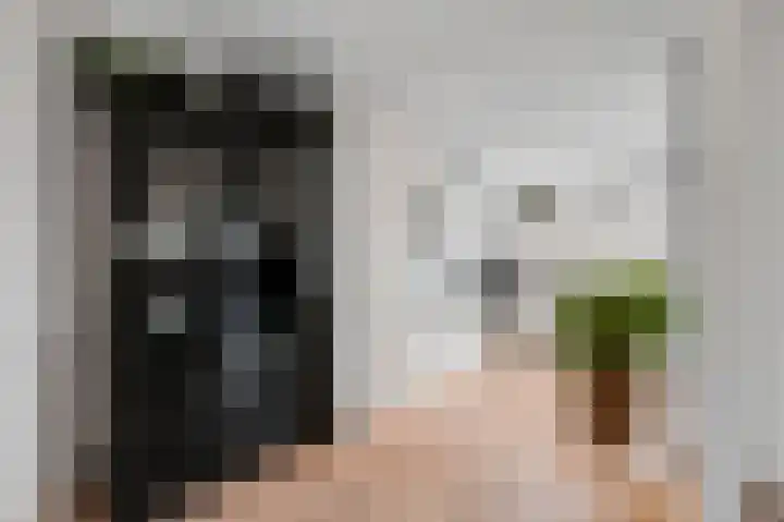 Hofsingel 17 Maasland thumbnail 15