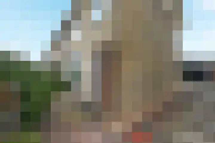 Hofsingel 17 Maasland thumbnail 6