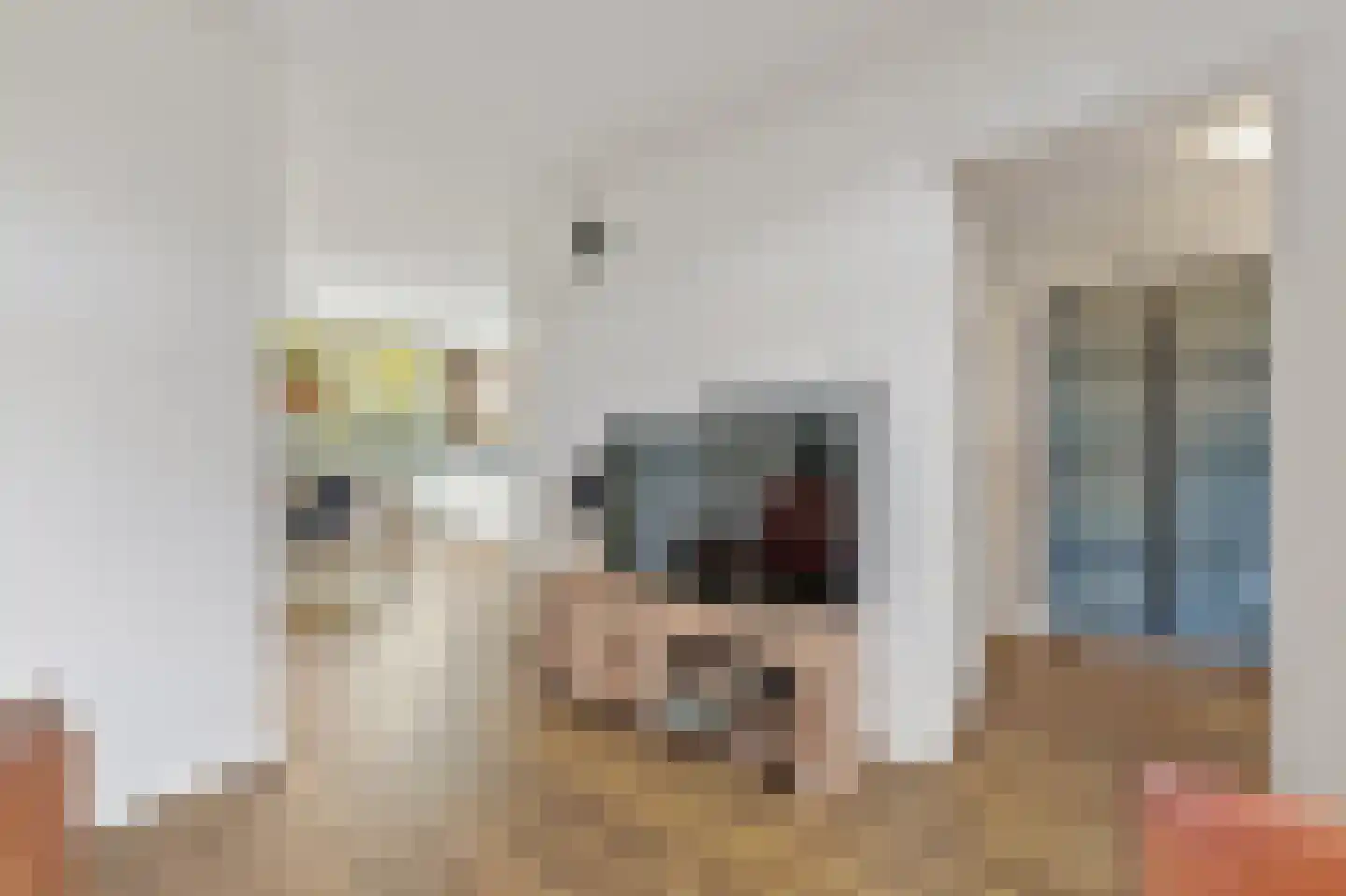 Hofsingel 25 Maasland thumbnail 15