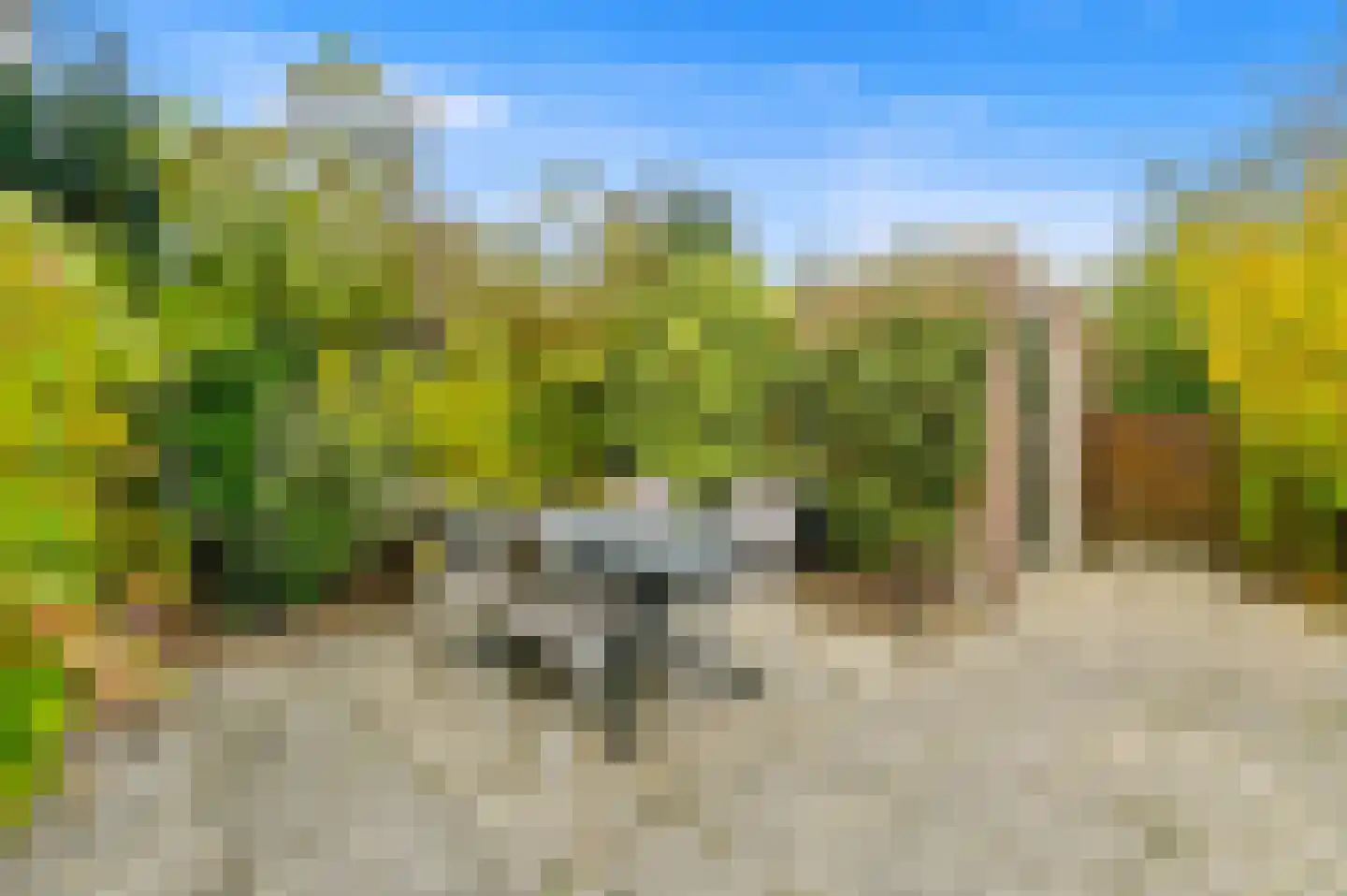 Hofsingel 25 Maasland thumbnail 22