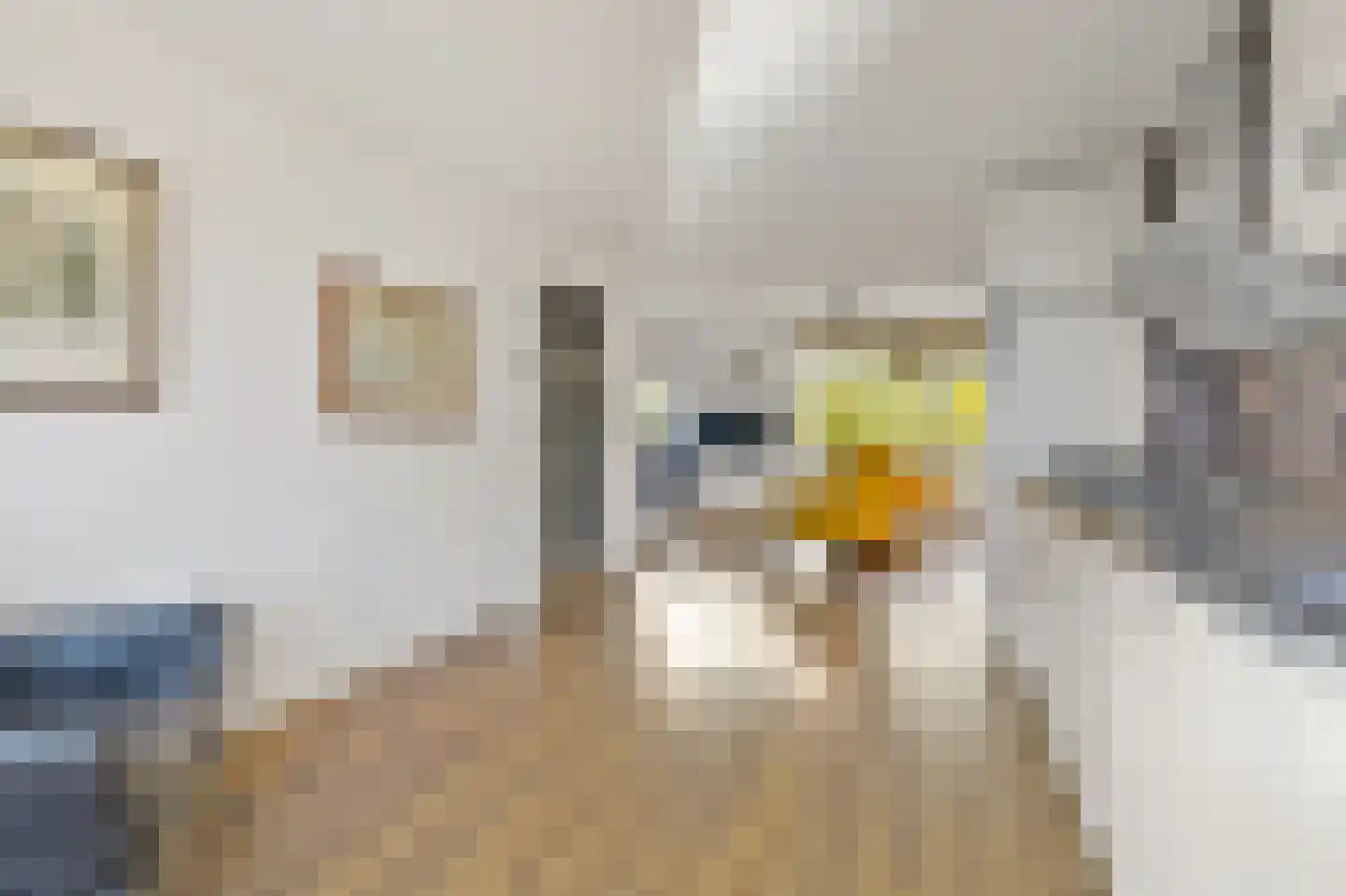 Hofsingel 25 Maasland thumbnail 32