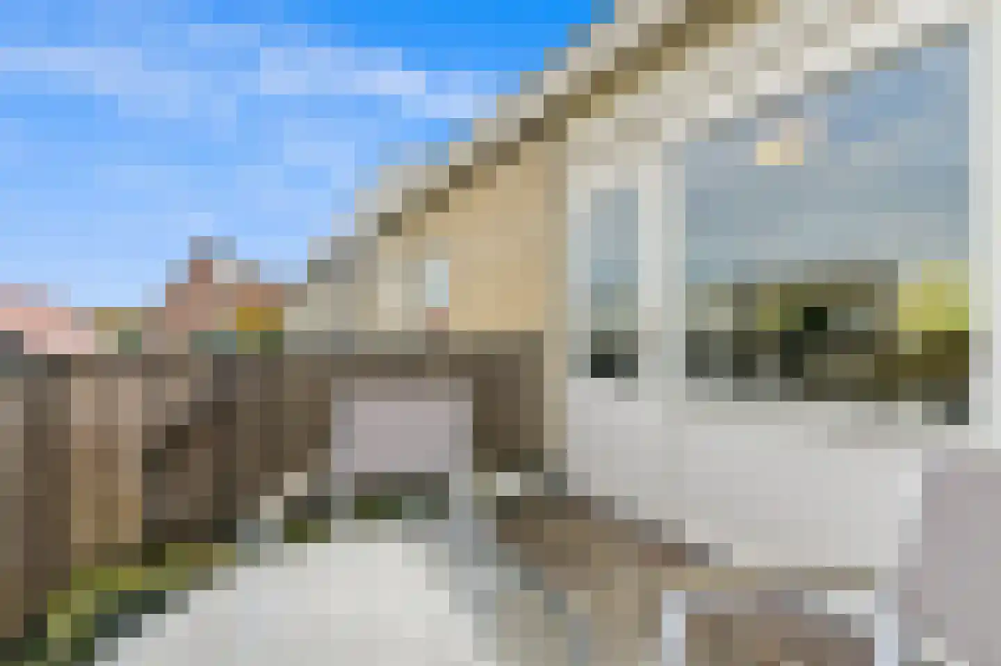 Hofsingel 25 Maasland thumbnail 34