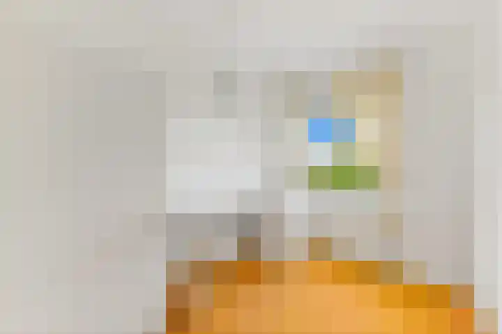 Hofsingel 27 Maasland thumbnail 33