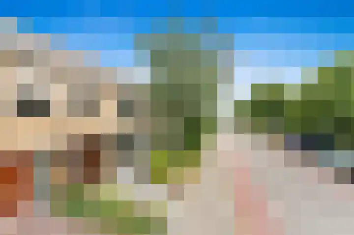 Hofsingel 27 Maasland thumbnail 4