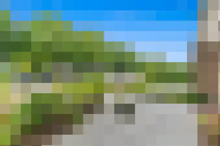 Hofsingel 27 Maasland thumbnail 5