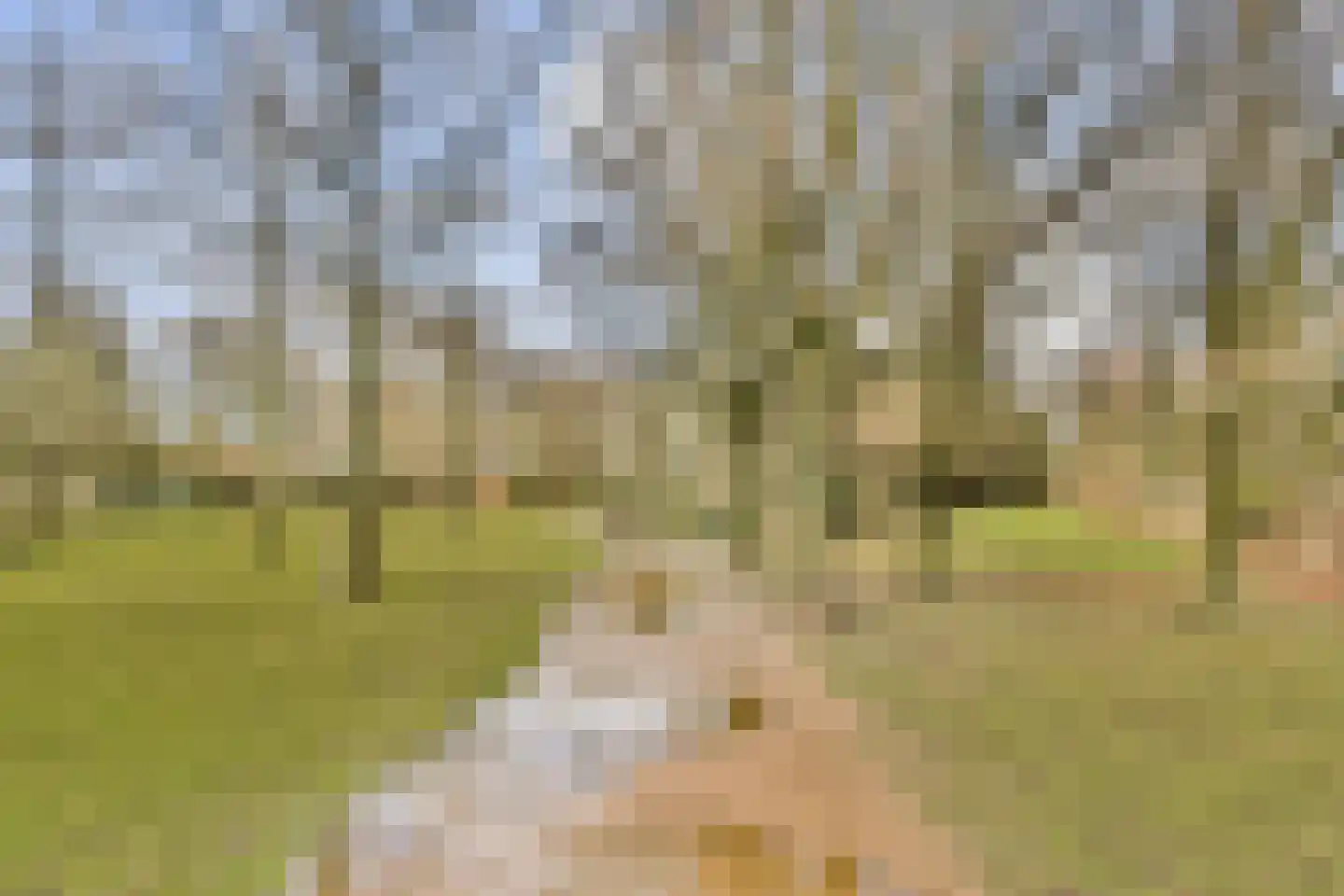 Hofsingel 29 Vlaardingen thumbnail 32
