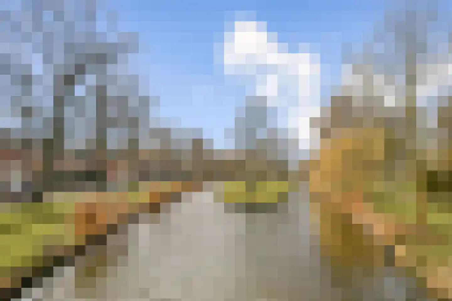 Hofsingel 29 Vlaardingen thumbnail 34