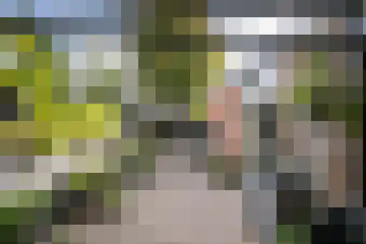 Hofsingel 32 Vlaardingen thumbnail 7