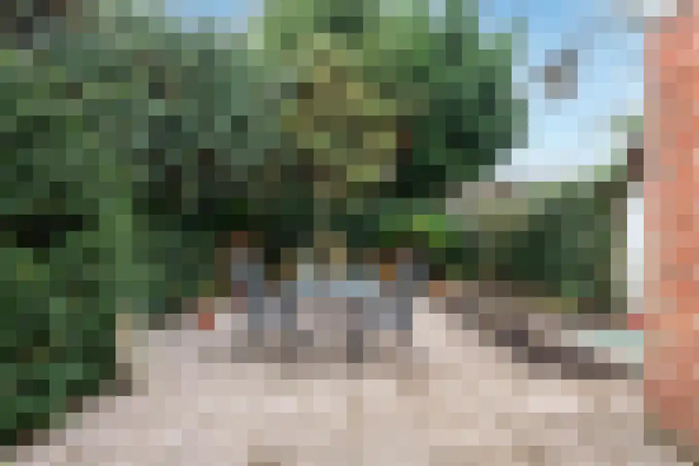 Hofsingel 34 Vlaardingen thumbnail 8