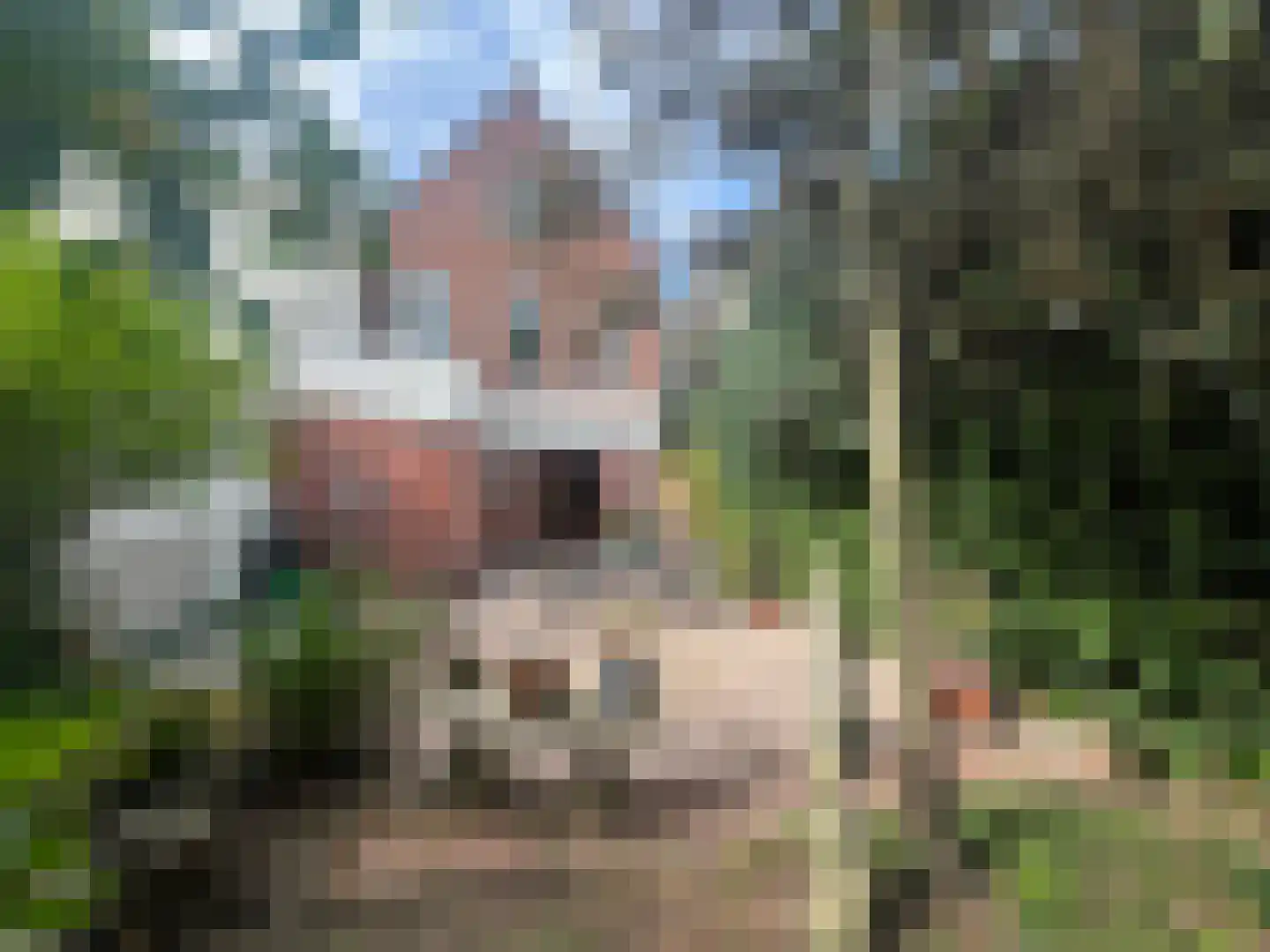 Hofsingel 34 Vlaardingen thumbnail 8