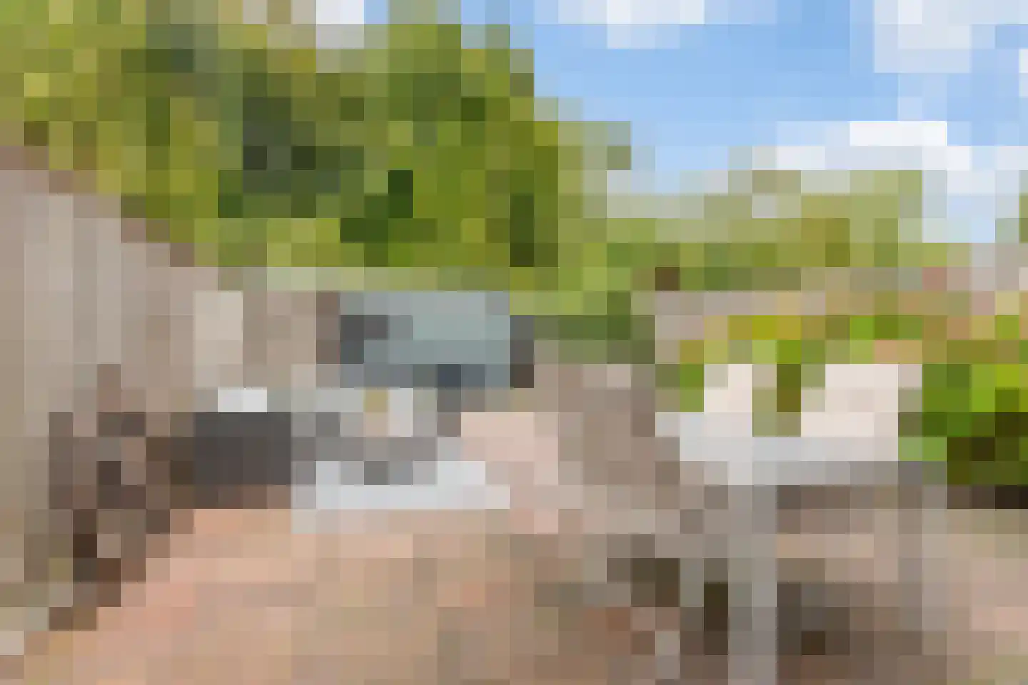 Hofsingel 39 Arnhem thumbnail 11