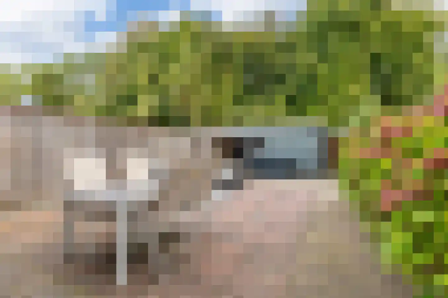 Hofsingel 39 Arnhem thumbnail 12