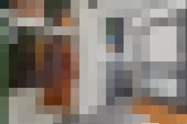Hofsingel 51 Maasland thumbnail 8