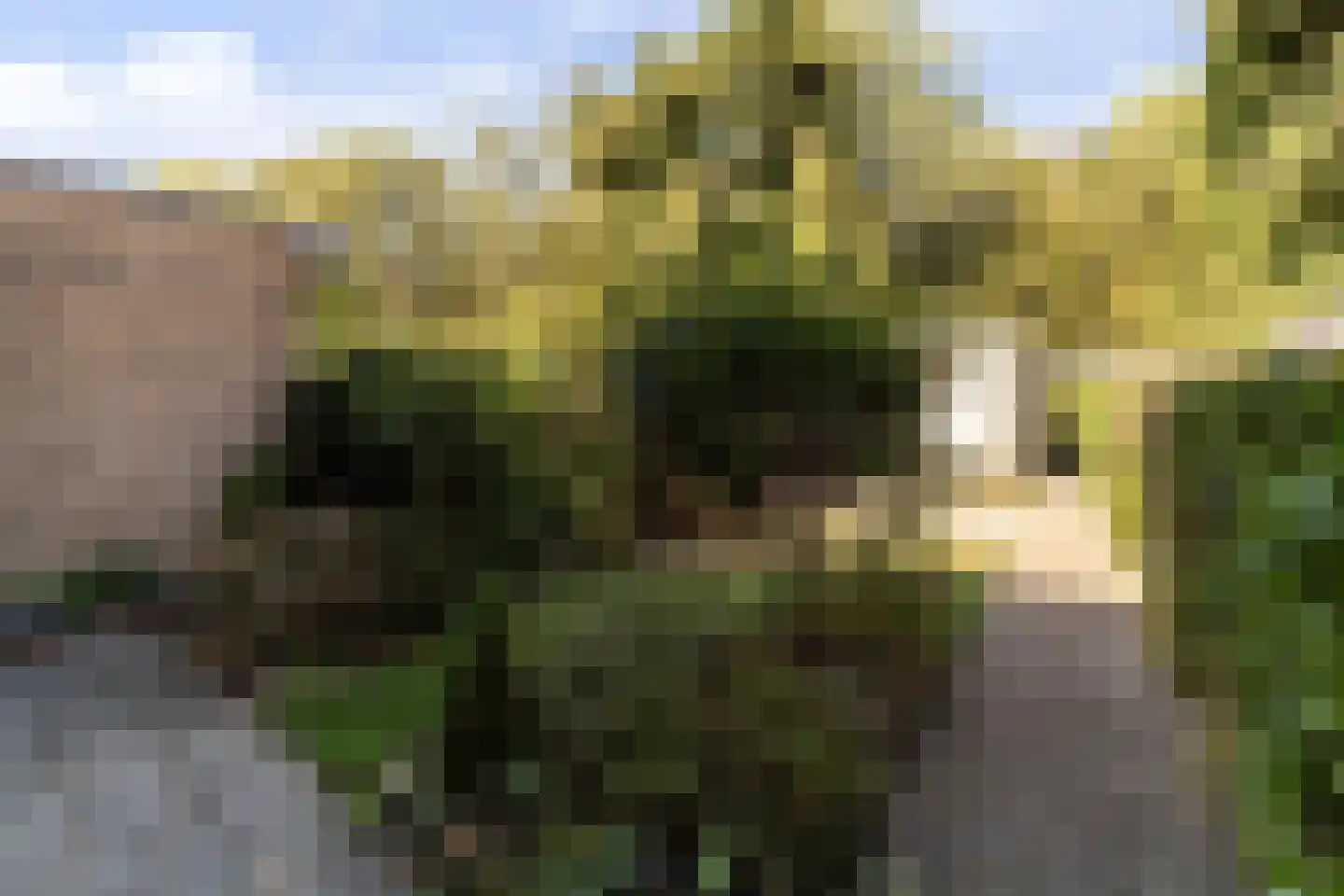 Hofsingel 55 Arnhem thumbnail 32