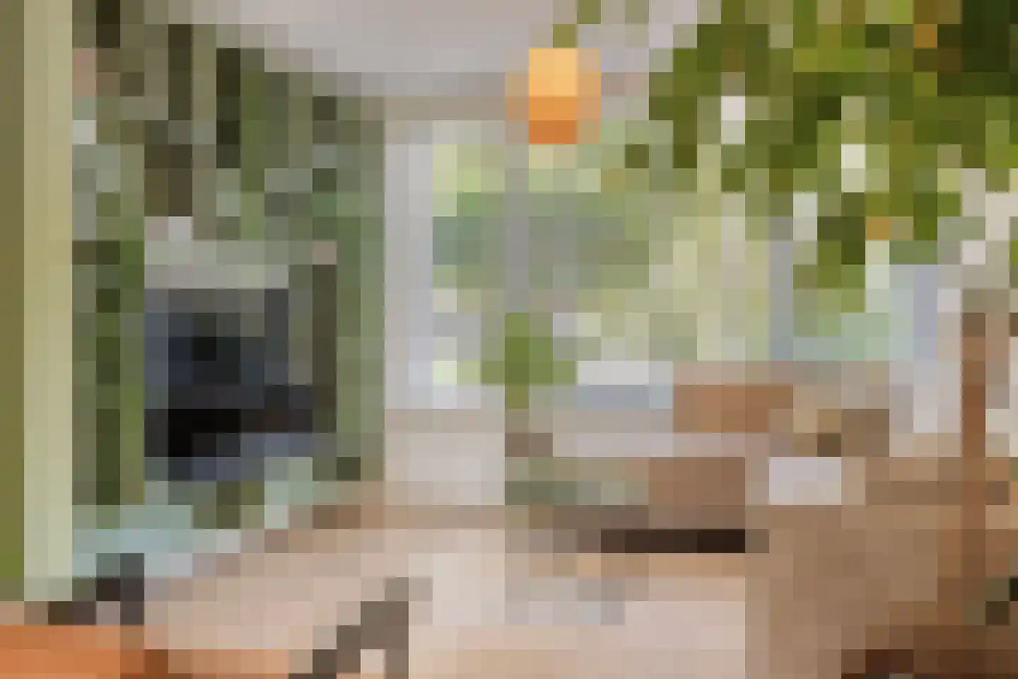 Hofsingel 9 Maasland thumbnail 13