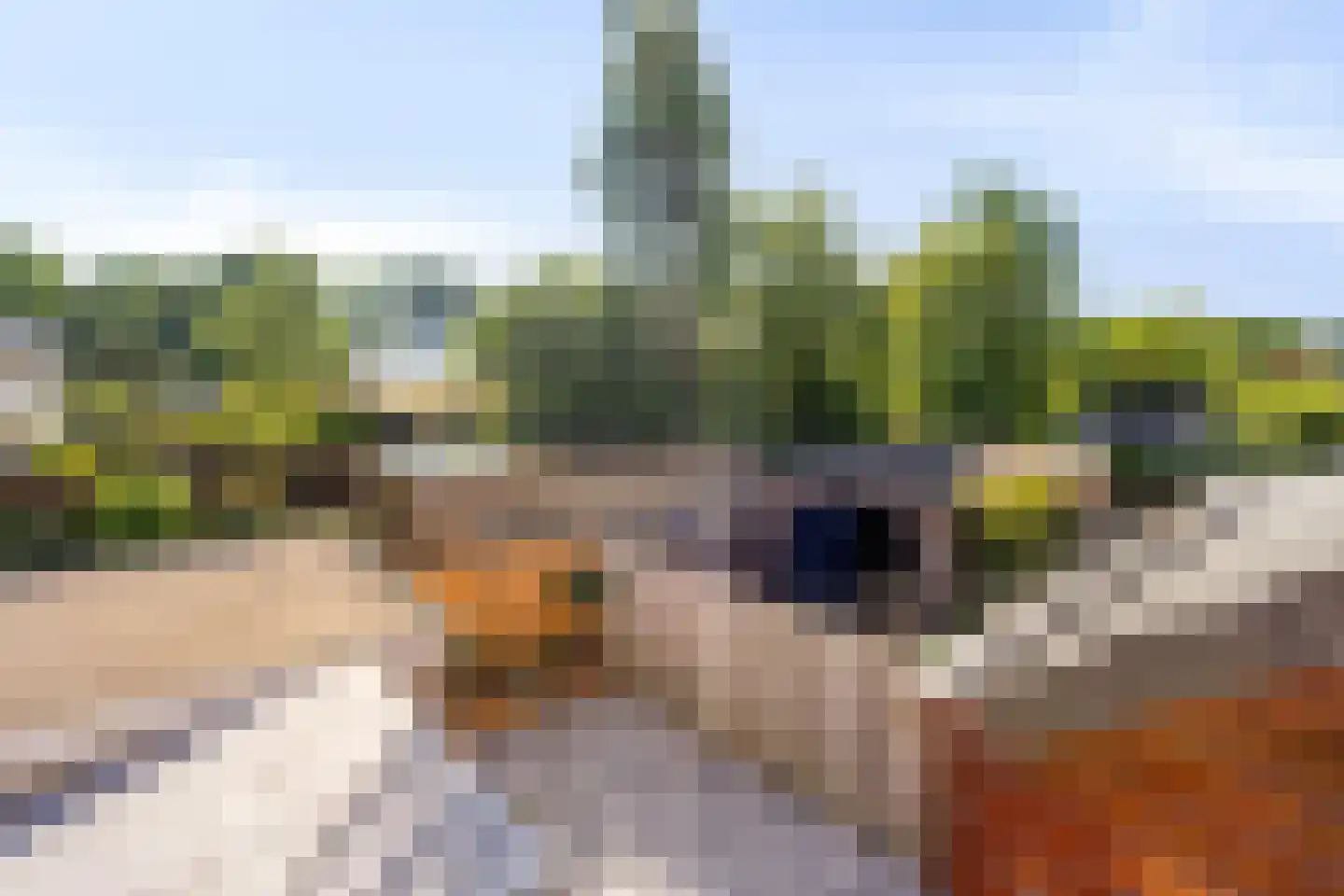Hofsingel 9 Maasland thumbnail 62