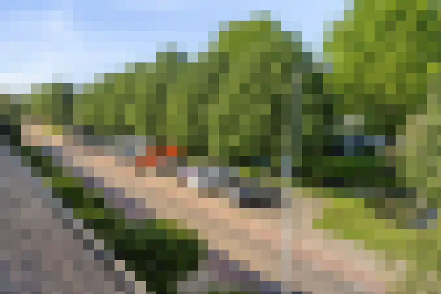 Hofsingel 9 Maasland thumbnail 70