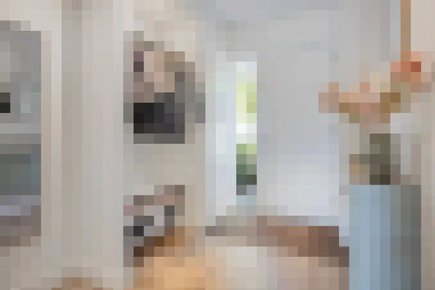 Hofsingel 9 Maasland thumbnail 9